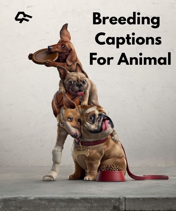 Breeding Captions