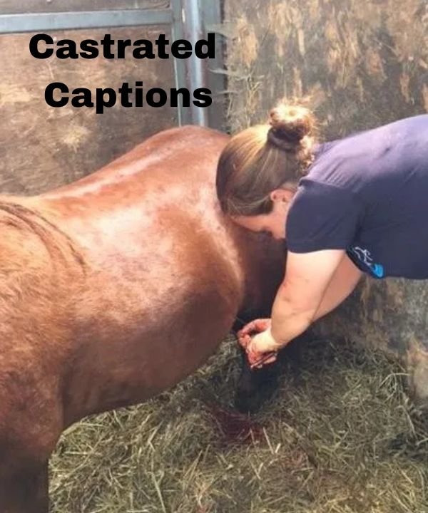 Castrated Captions